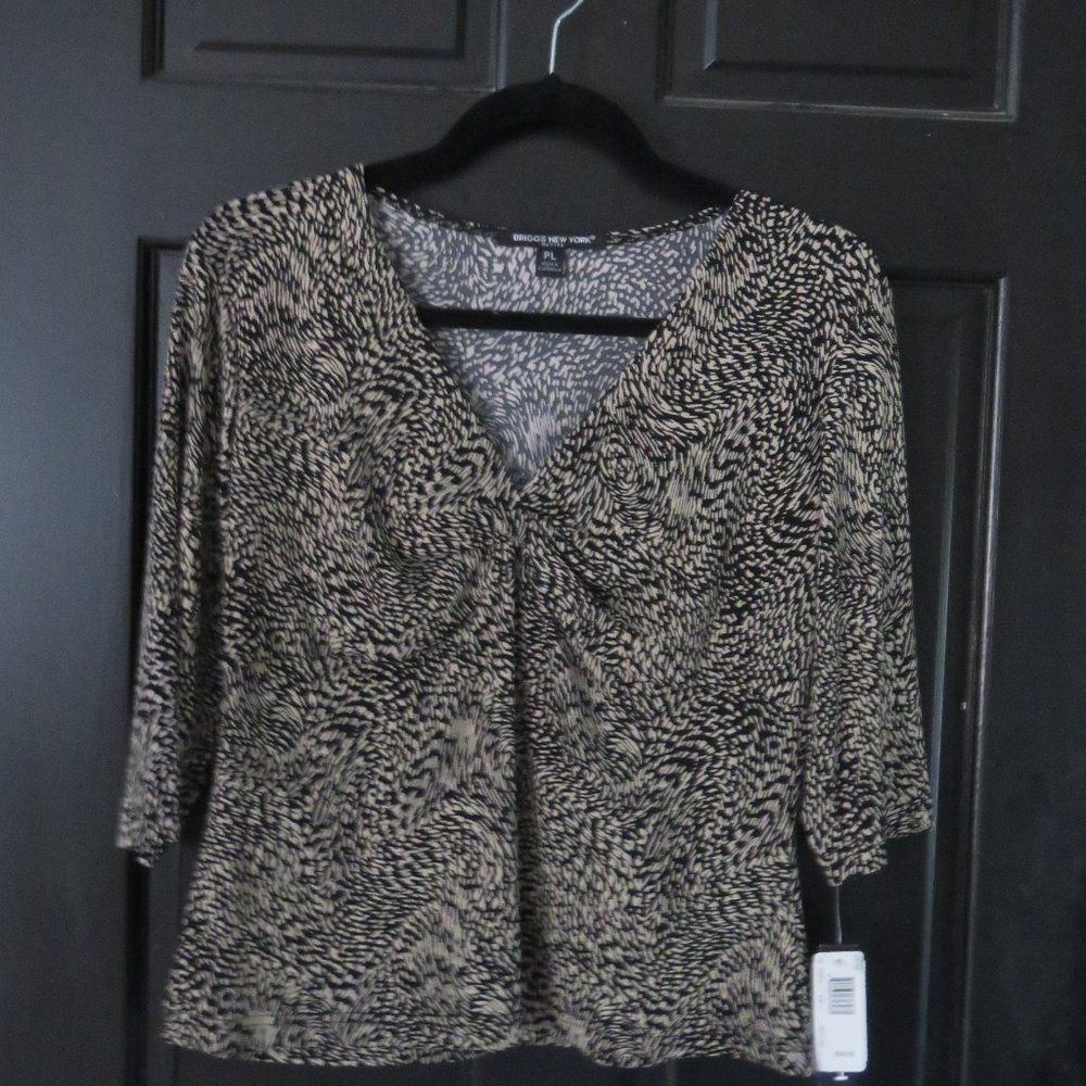 Briggs of New York Dressy Blouse